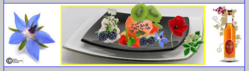 sorbet divin