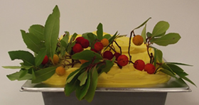 Sorbet Arbouse