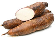 glace manioc