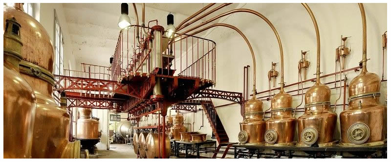 distillerie