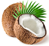 noix de coco